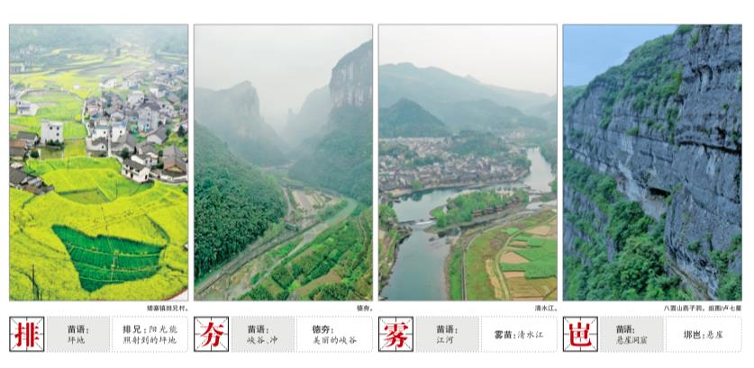 圖片排夯